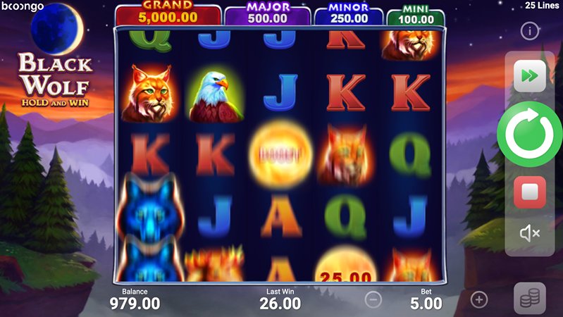 Барабаны слота Black Wolf