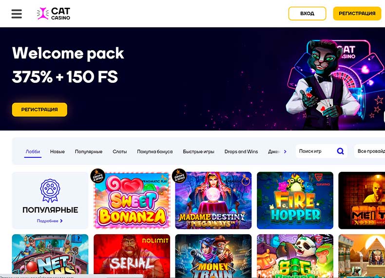 казино cat в топ 10 лучших сайтов