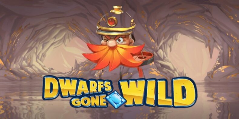 Обзор слота Dwarfs Gone Wild