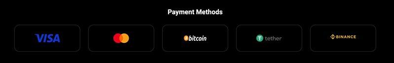 Win Diggers платежи