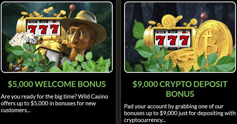 Бонусы казино Wild