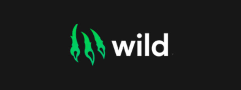 Обзор онлайн-казино Wild io